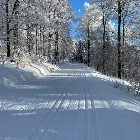 Aktiv-Ferienwohnung Snow&Bike- Zentral zwischen Winterberg und Willingen Exterior foto