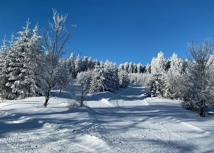 Aktiv-Ferienwohnung Snow&Bike- Zentral zwischen Winterberg und Willingen