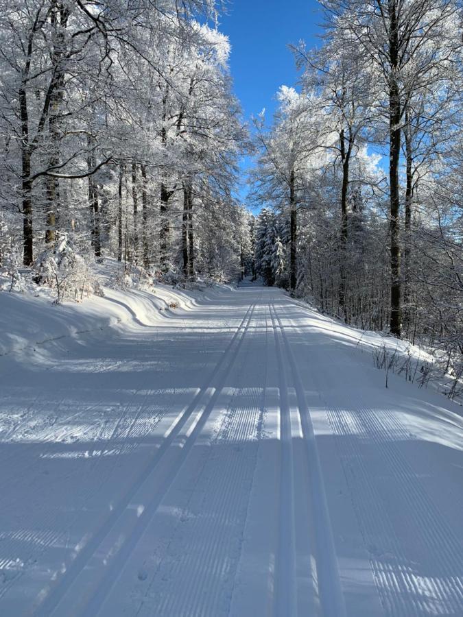 Aktiv-ferienwohnung Snow&bike- Zentral Zwischen Und Willingen Apartment Winterberg